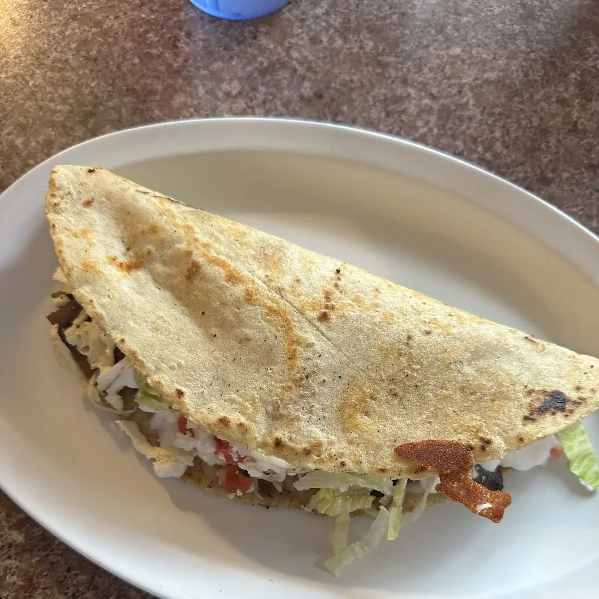 Quesadilla de Hongos