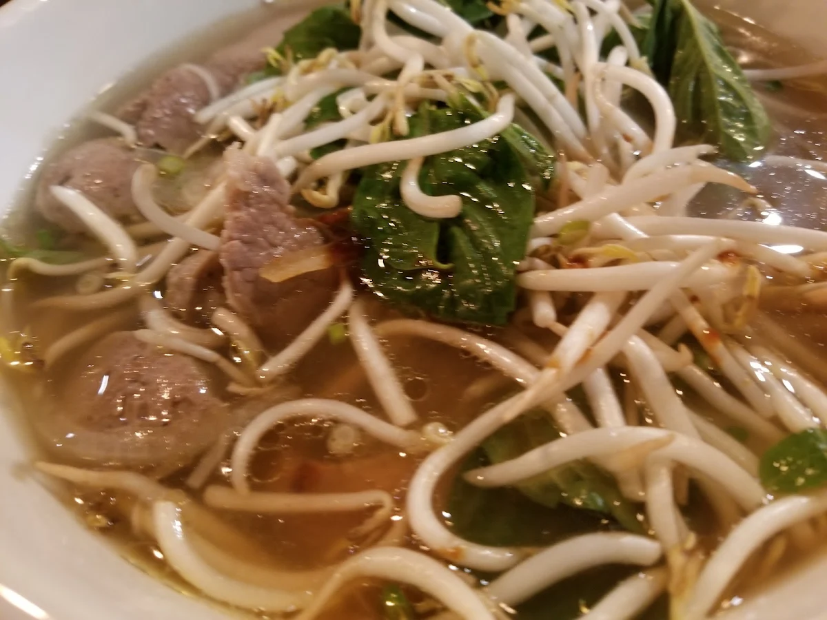 Vietnamese Pho Noodle Soup