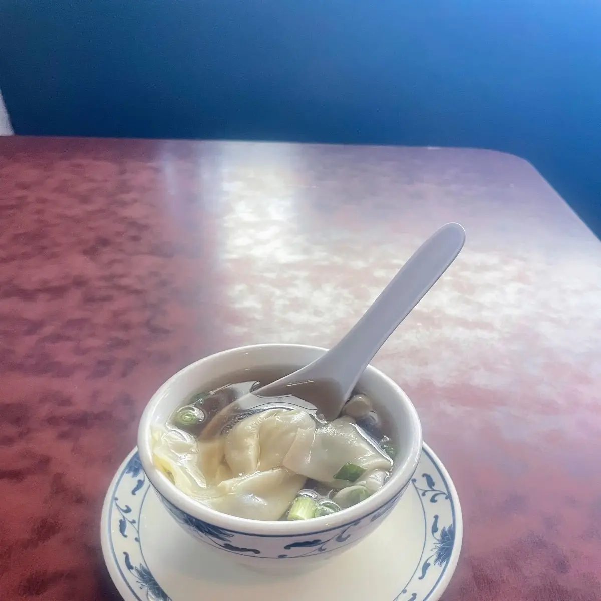 Wonton Soup