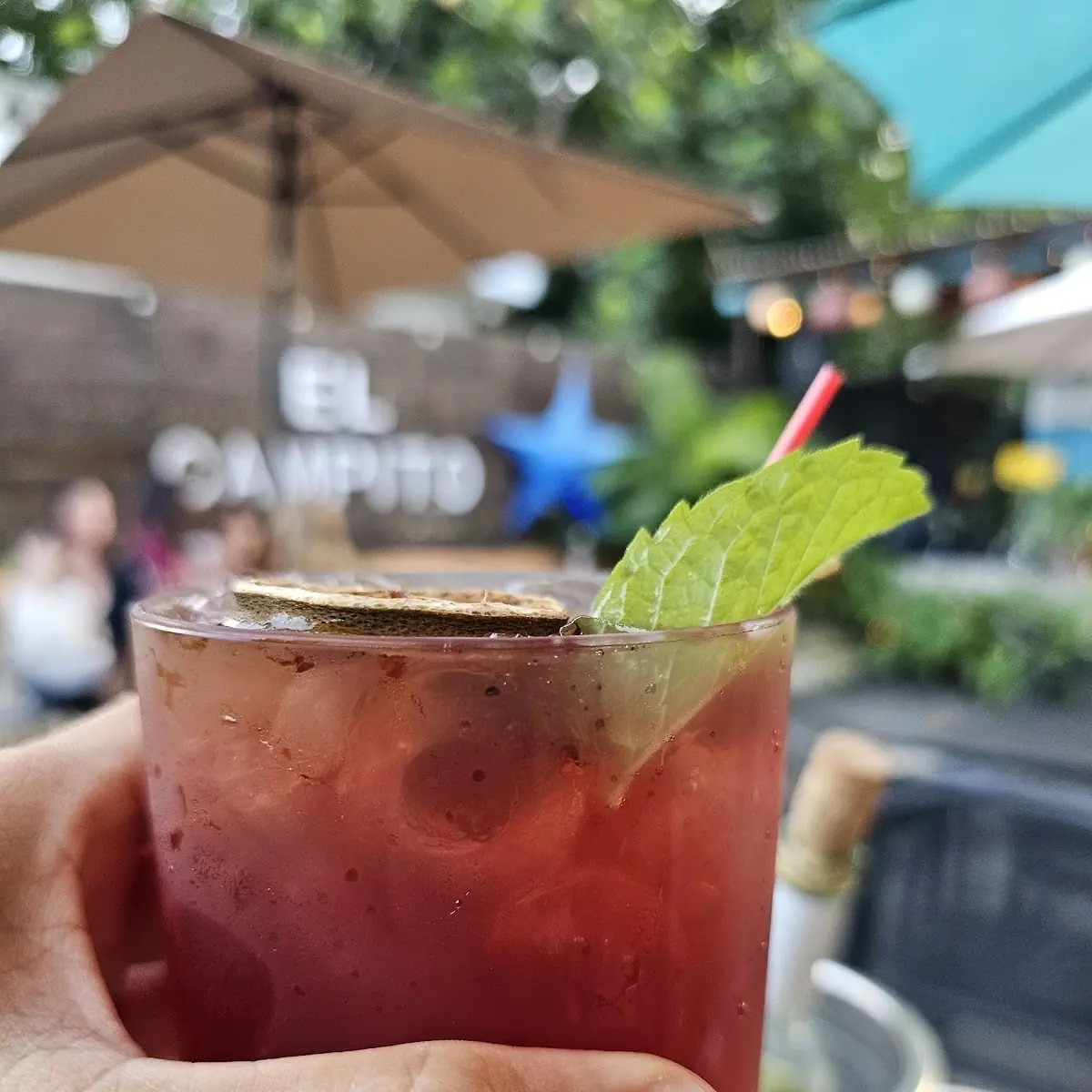 Sangria de la Casa