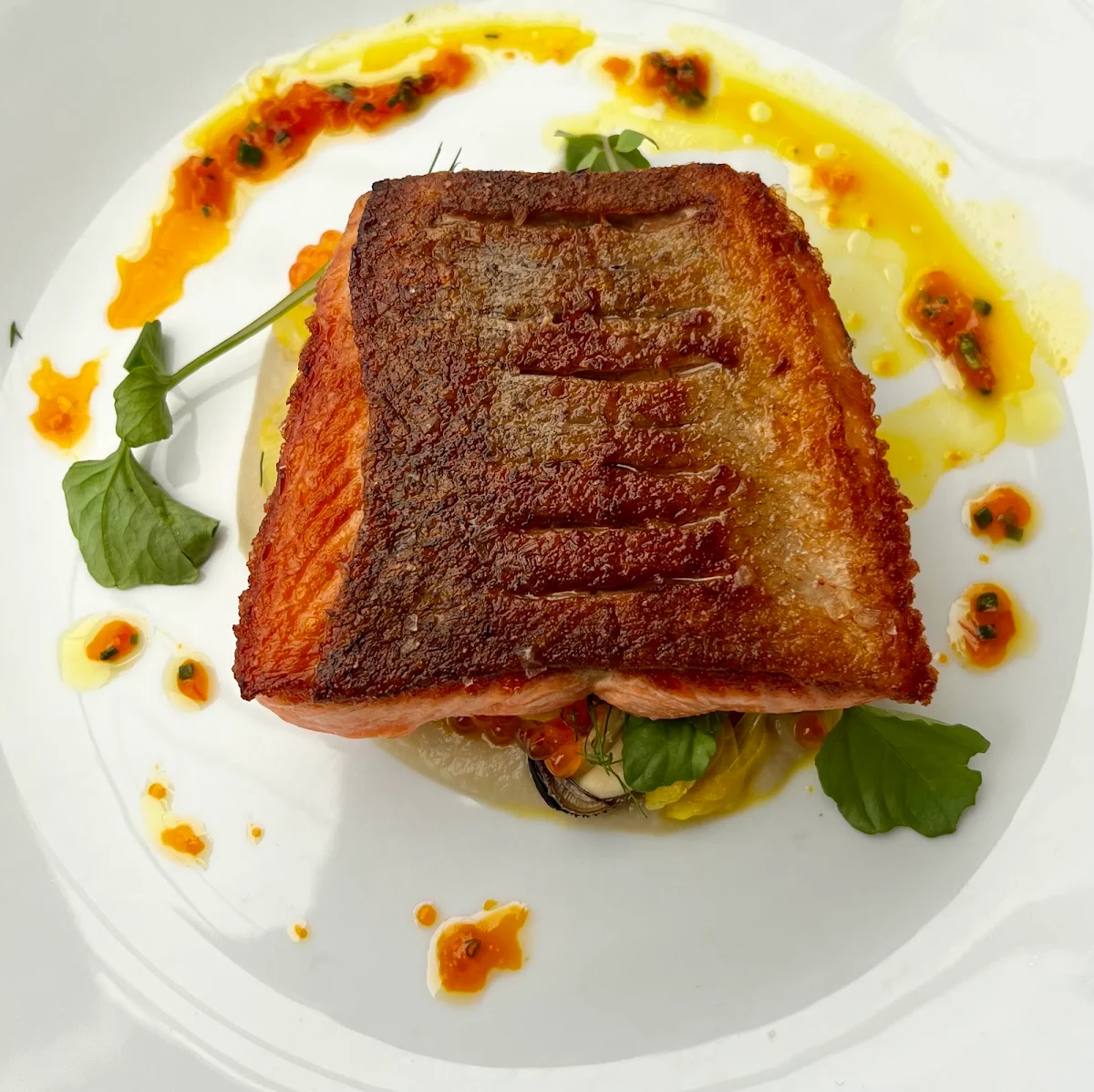Pan Fried Ocean Trout