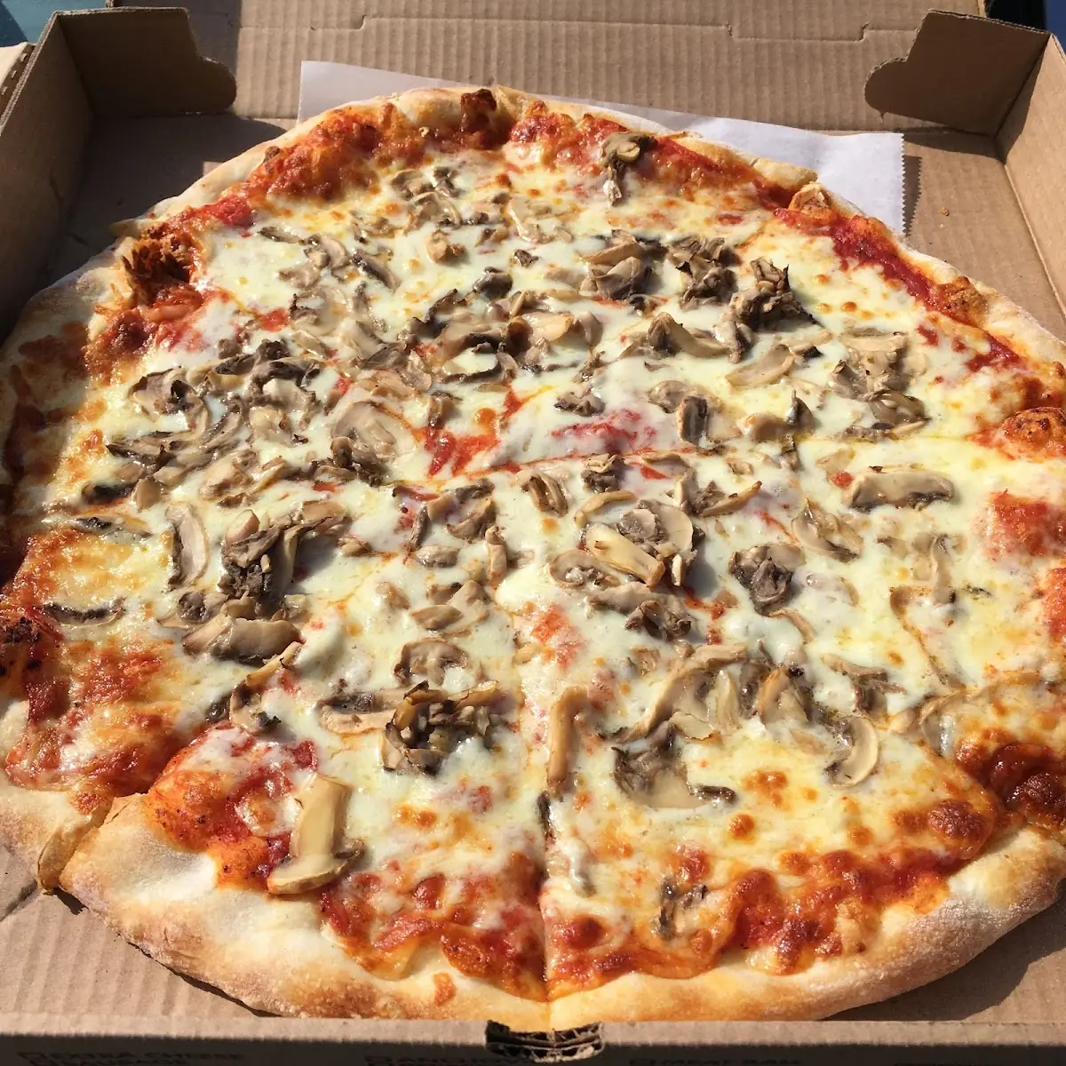 Mushroom Pizza