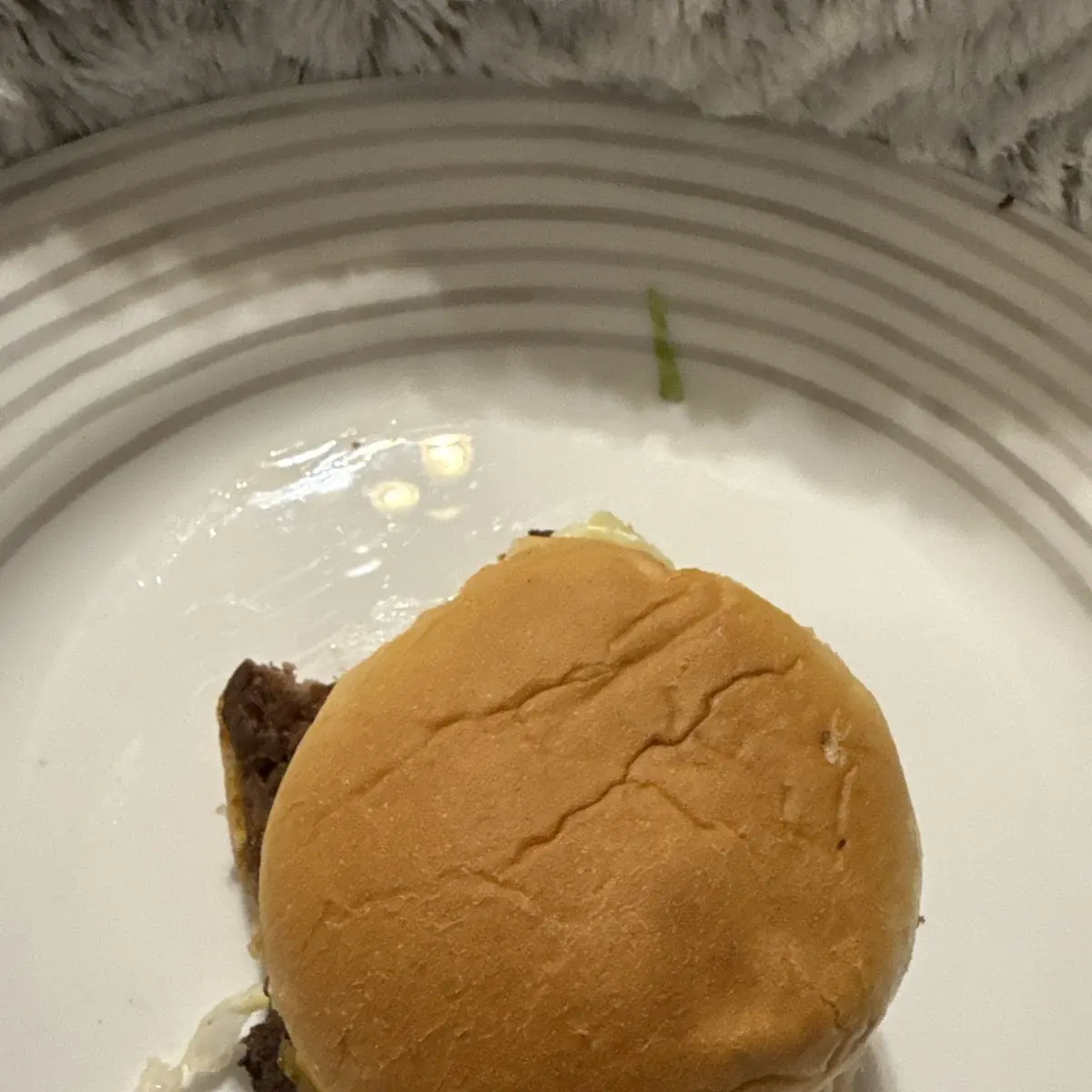 Beef Burger