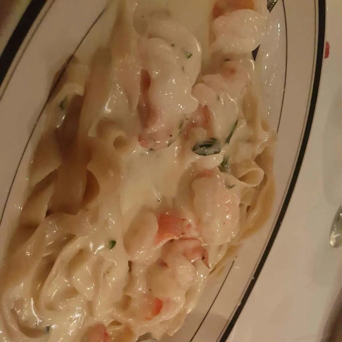 Shrimp Alfredo