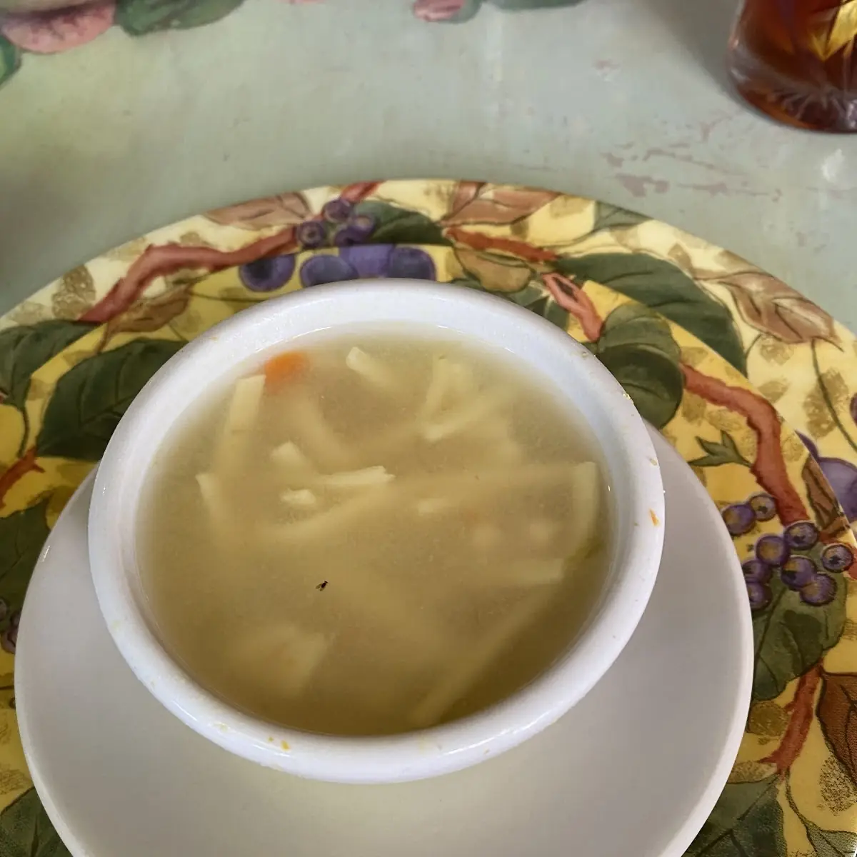 Chicken Noodle Soup