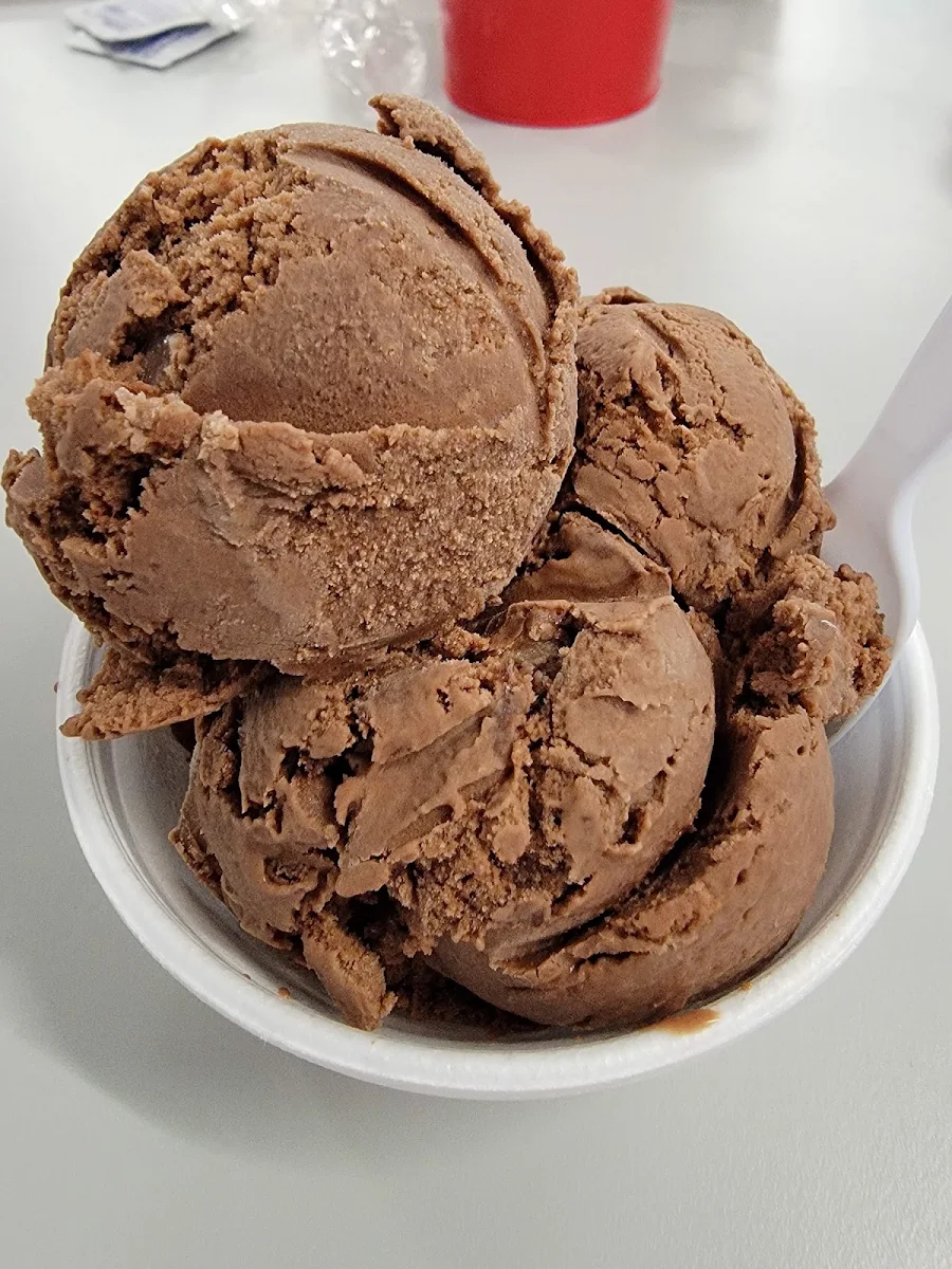 Vegan Chocolate Ice Cream
