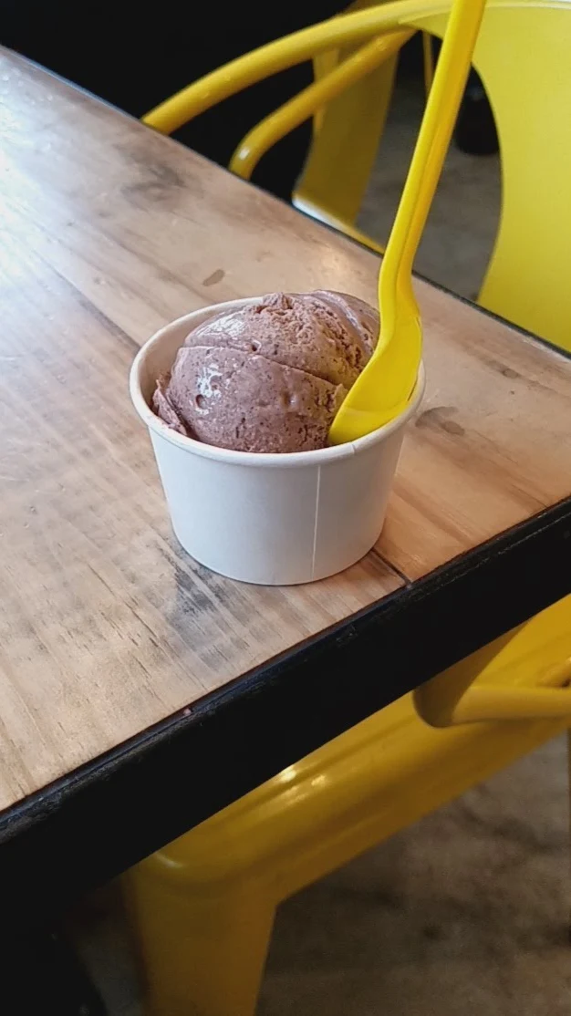 Chocolate Ice Cream