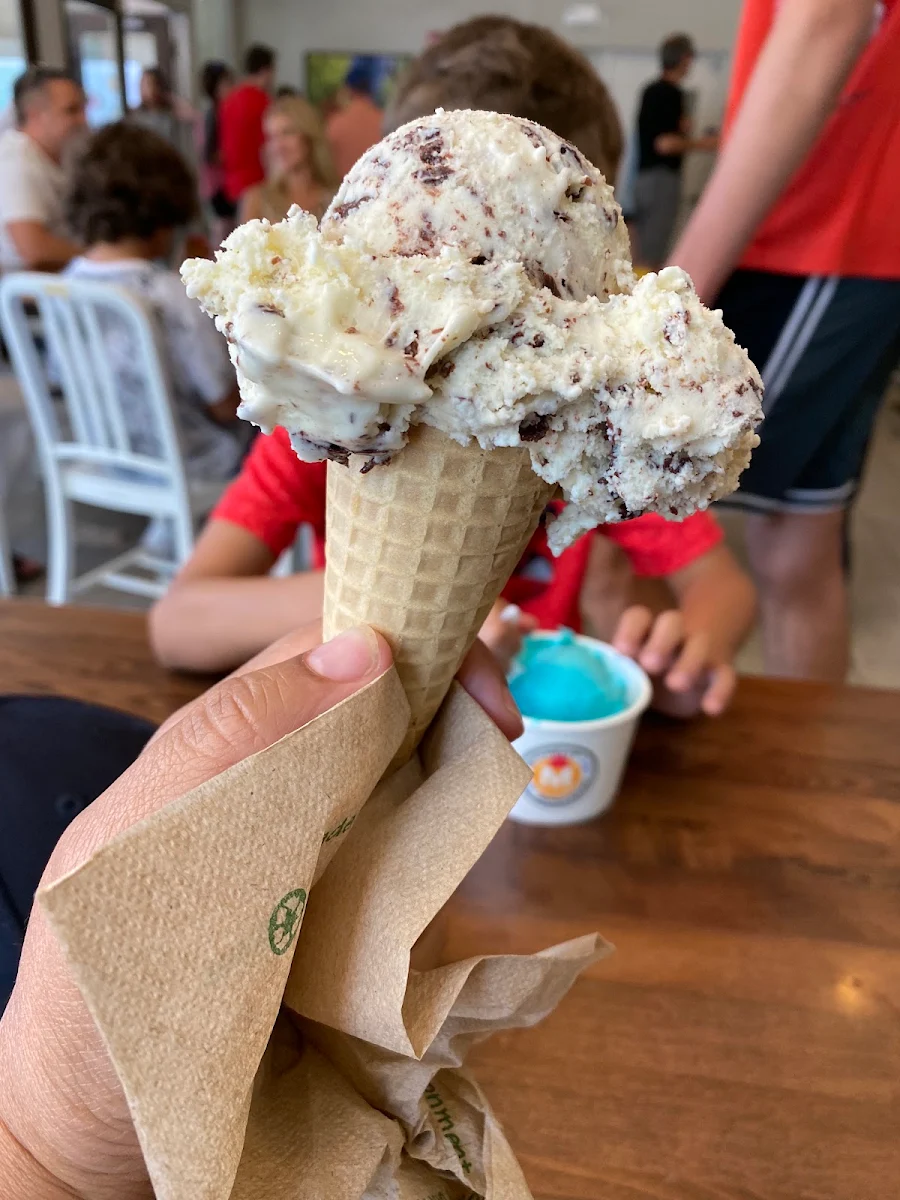 Fresh Mint Chocolate Chunk
