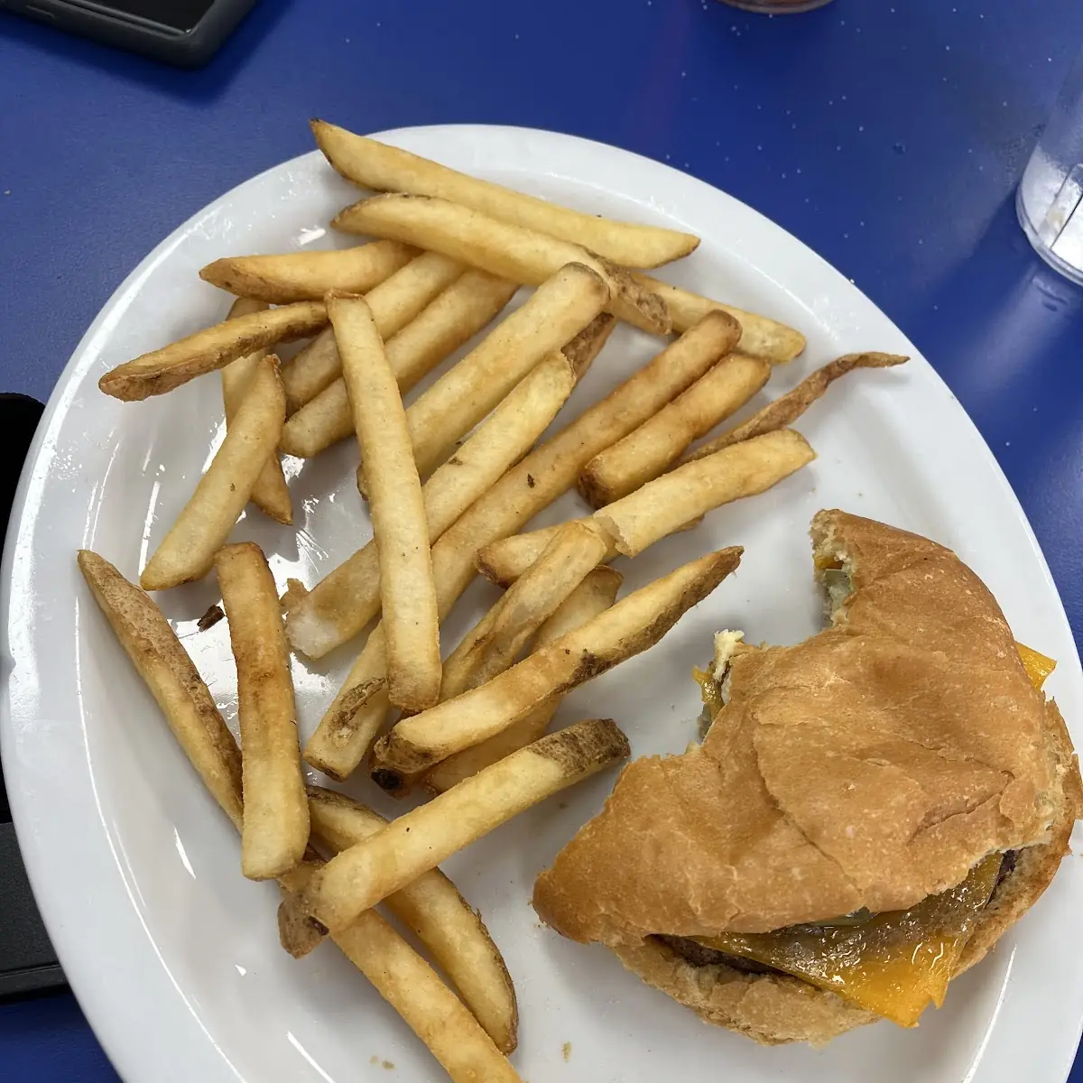 Turkey Burger w Cheese & Fries