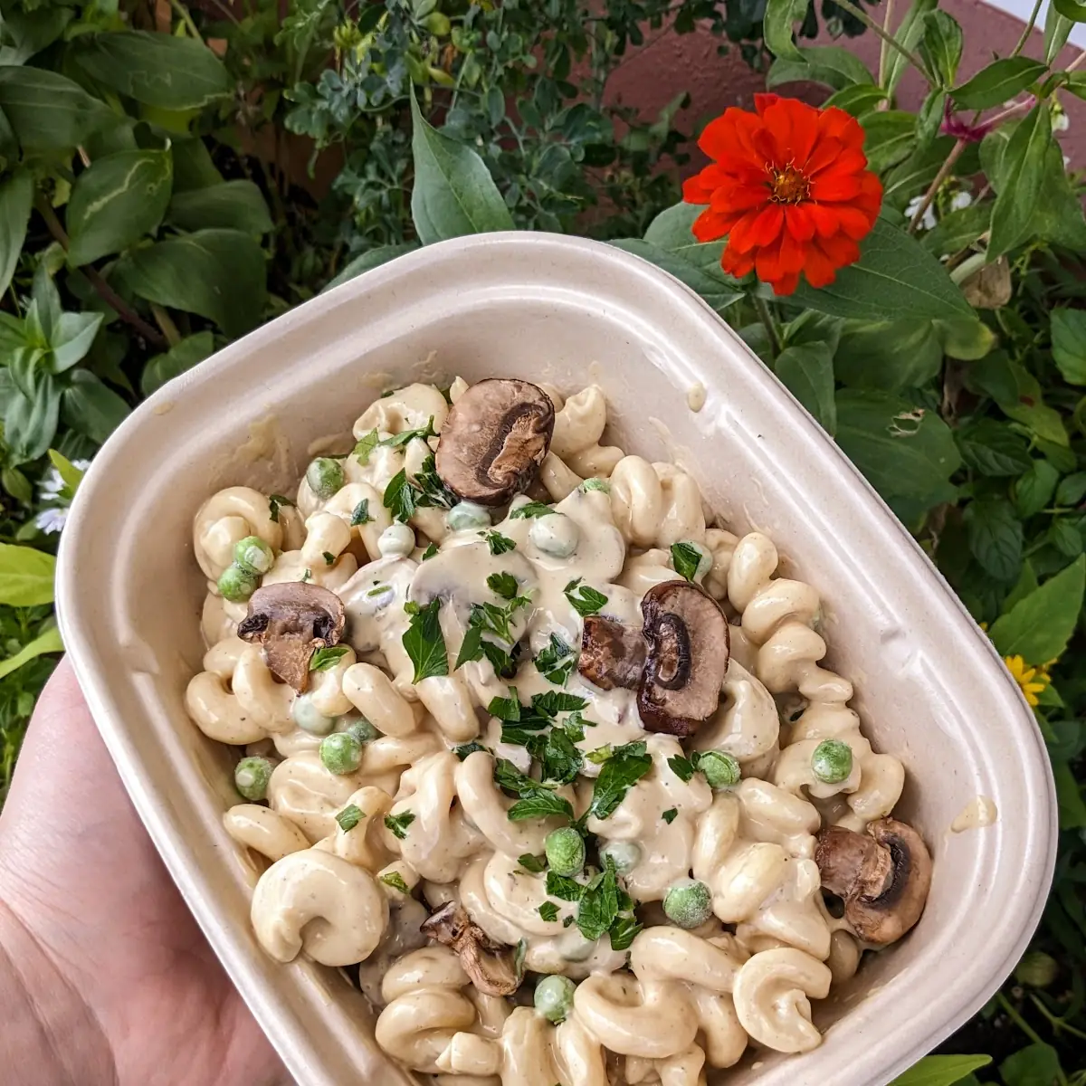 Pesto Alfredo Pasta