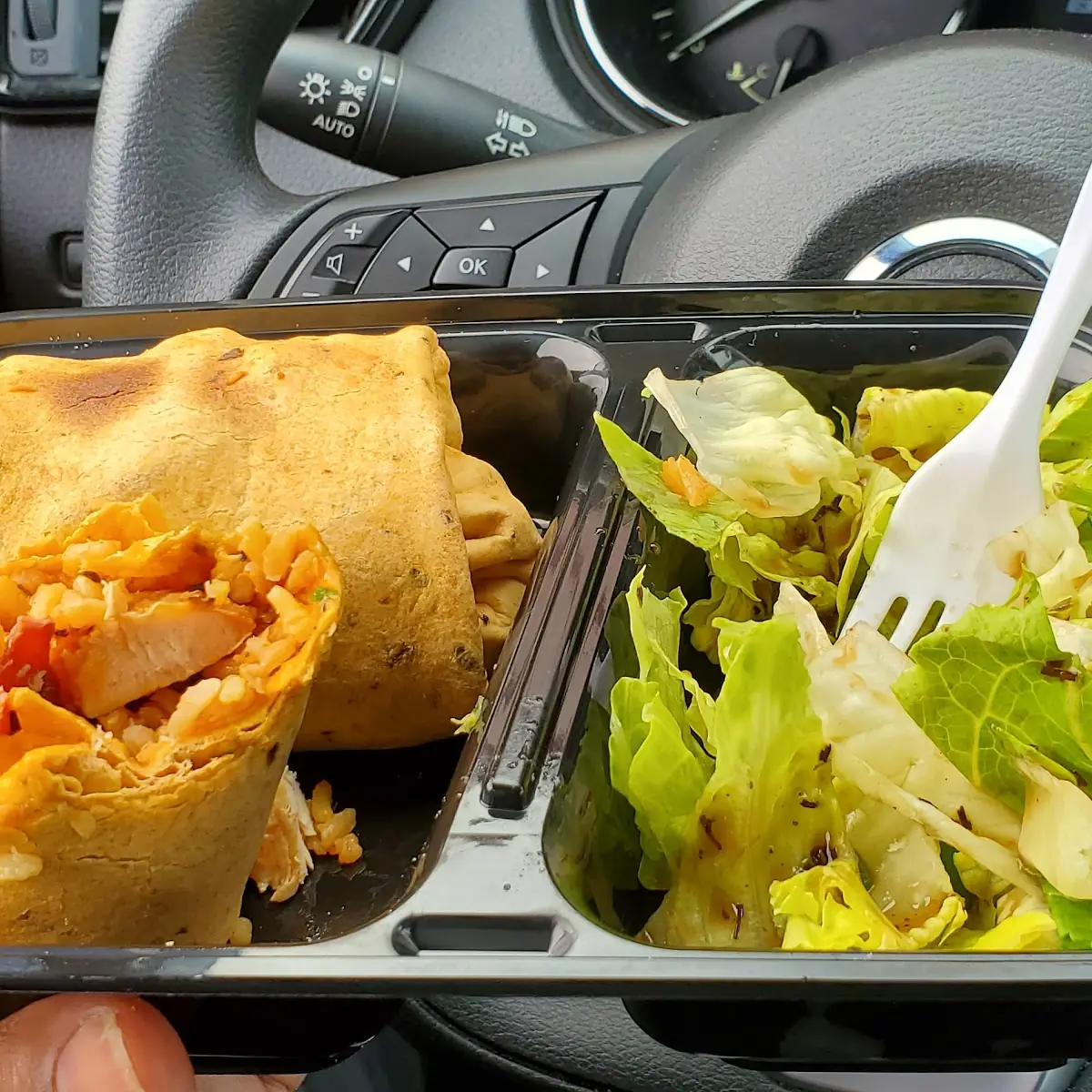 Chicken Wrap