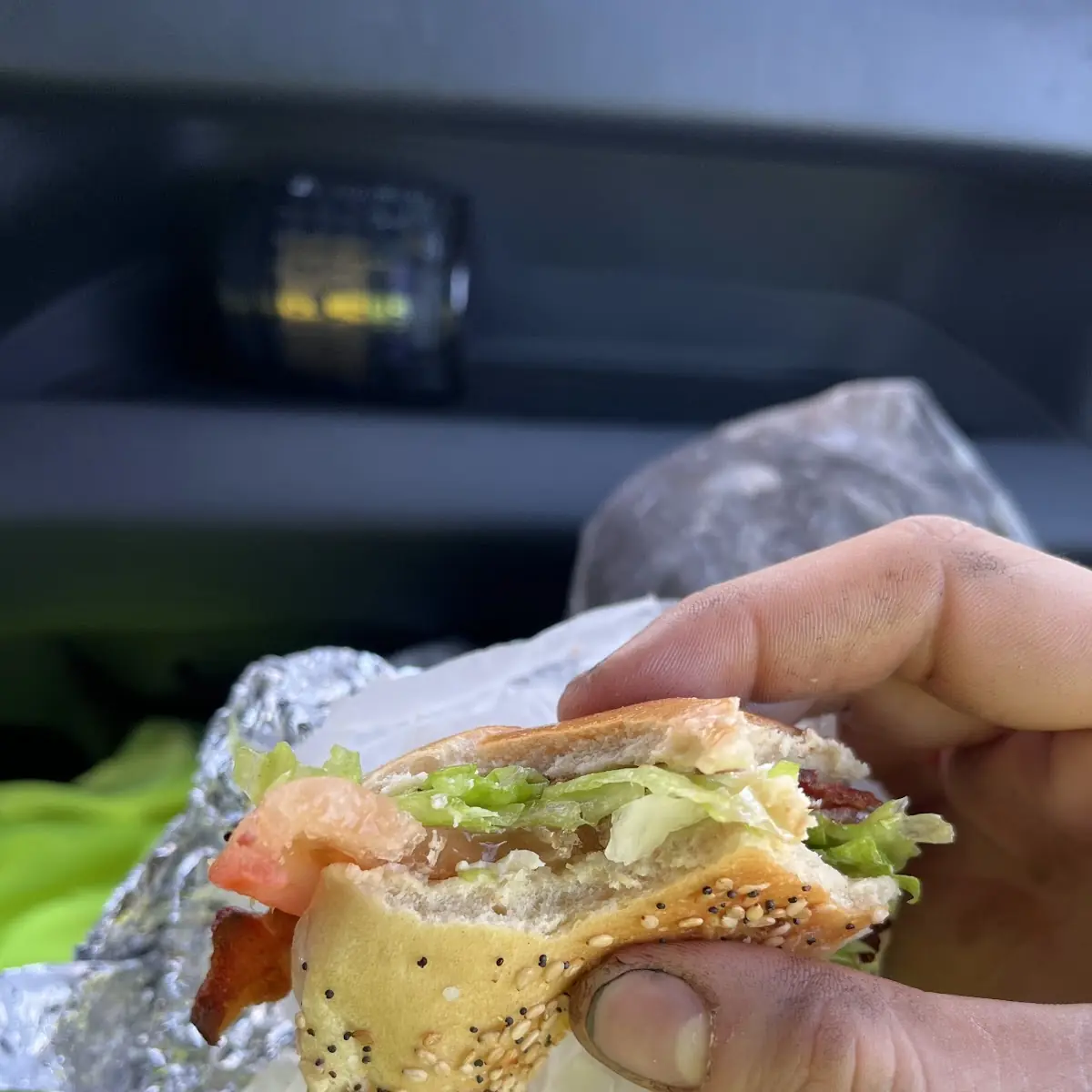 blt Everything Bagel