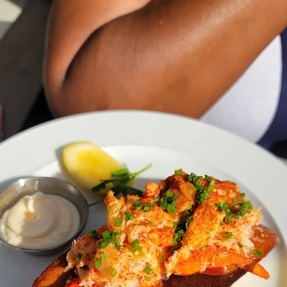 Lobster Roll with Fries