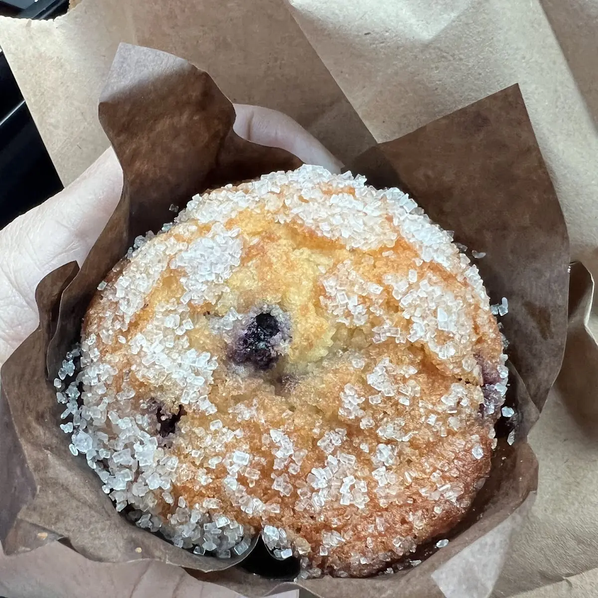 Blueberry Muffin
