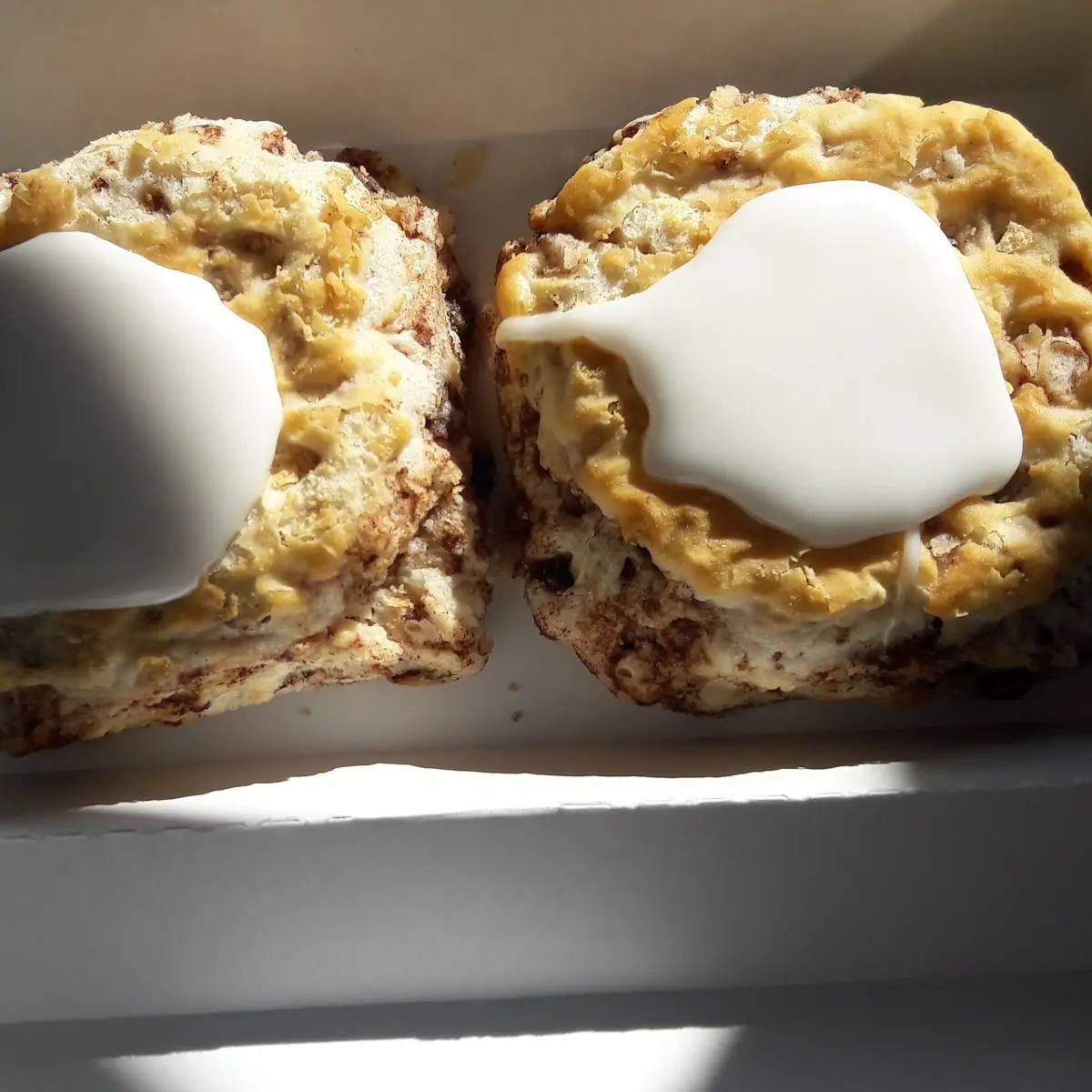 Cinnamon Raisin Biscuits