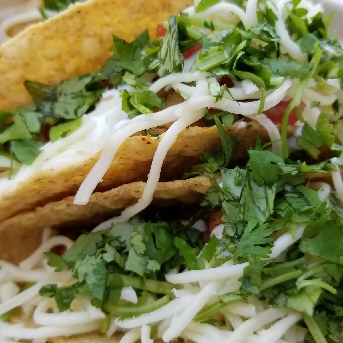 Hard Shell Taco