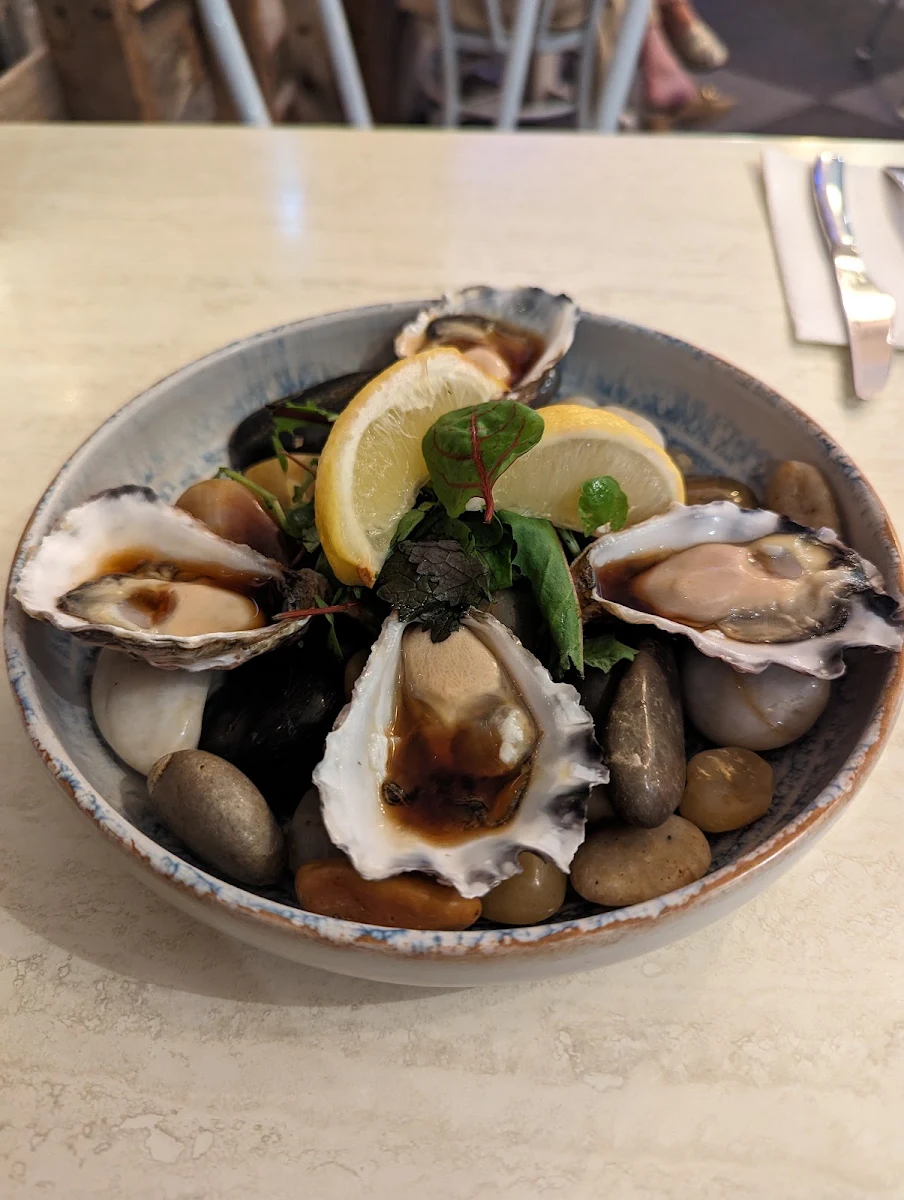 Todays Oysters, Cronulla RSL Club