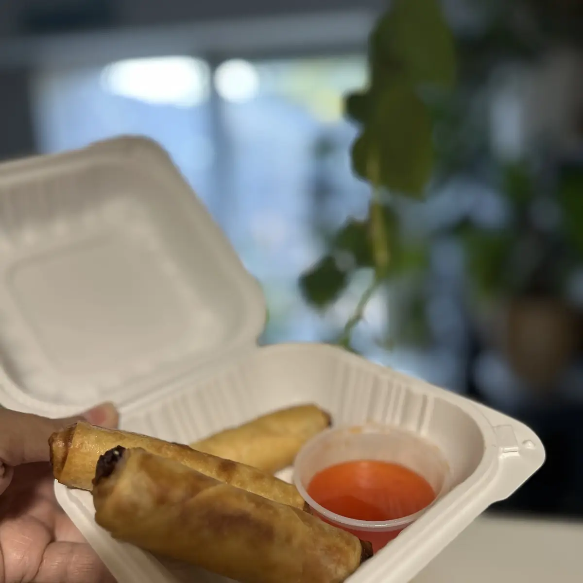 Spring Rolls 3