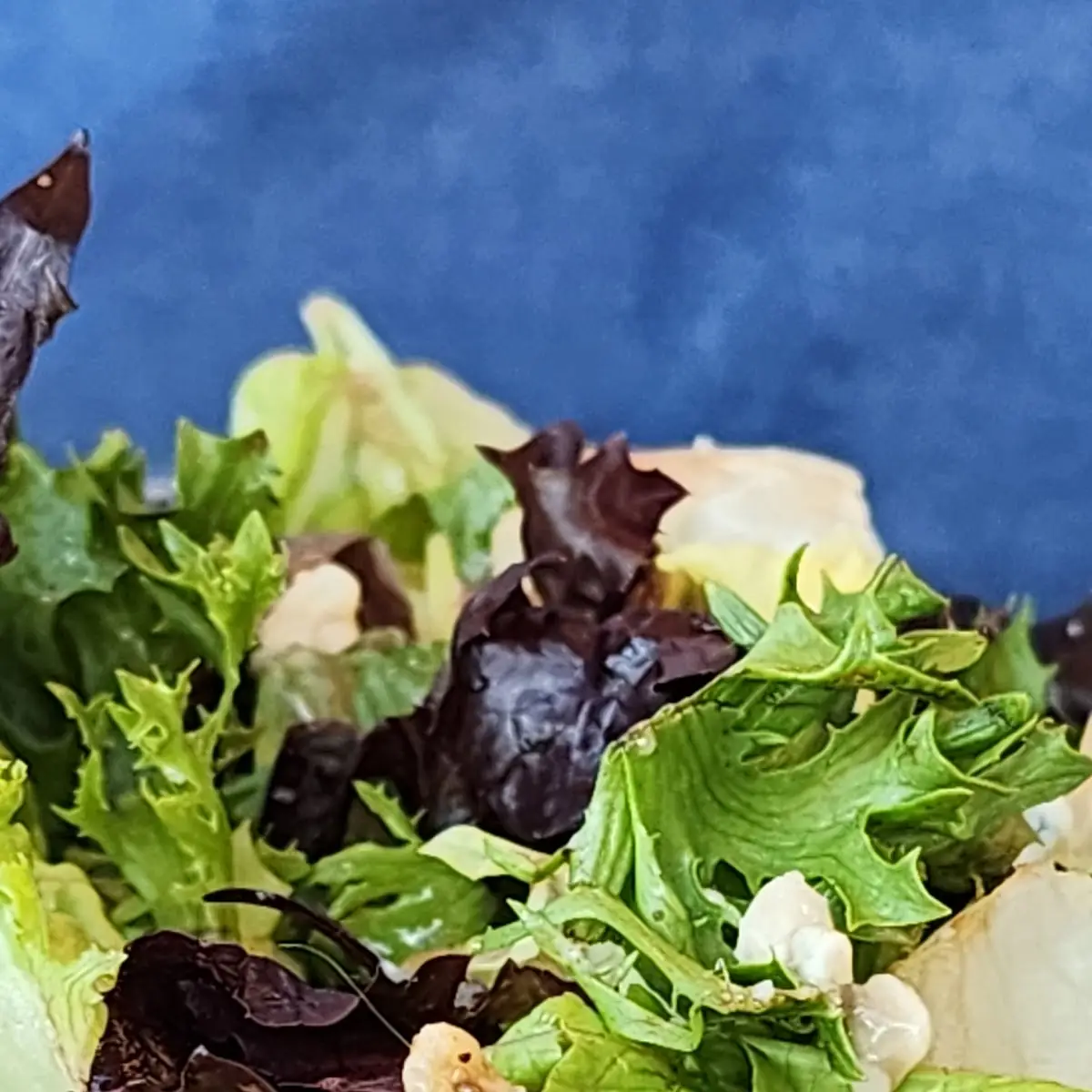Salad with Hair in It