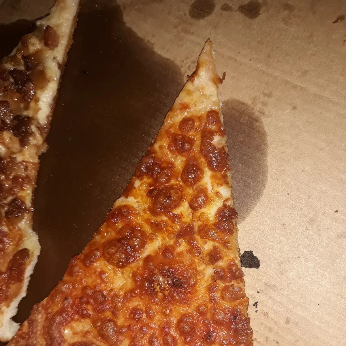Disappoint Regular Cheese Pizza Looks More Like a Thin Crust Burnt Pizza