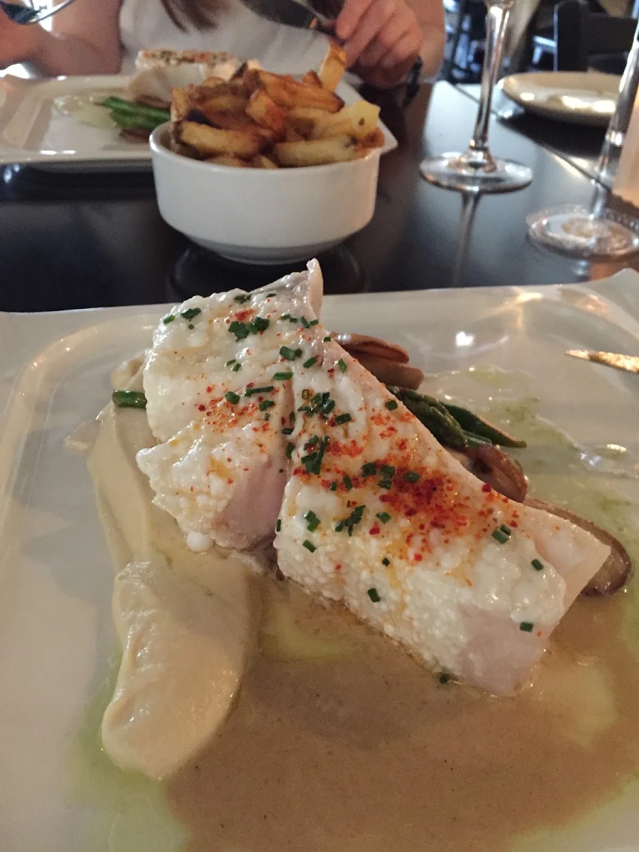 Halibut