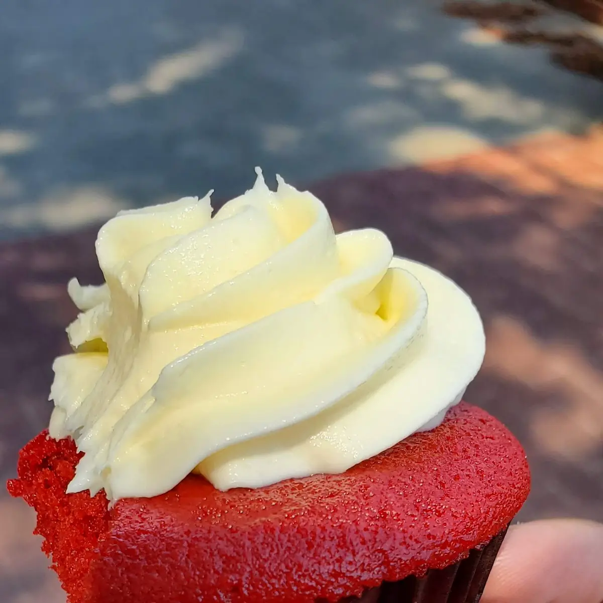 Red Velvet Cupcake