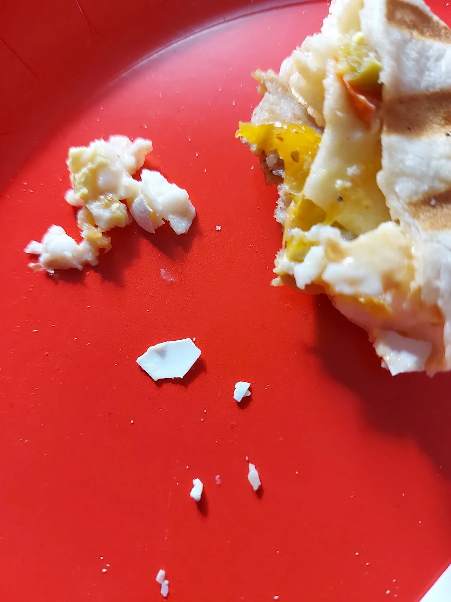 Framers Wrap with Egg Shell
