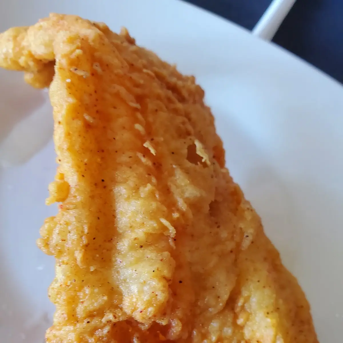Side of Fried Catfish
