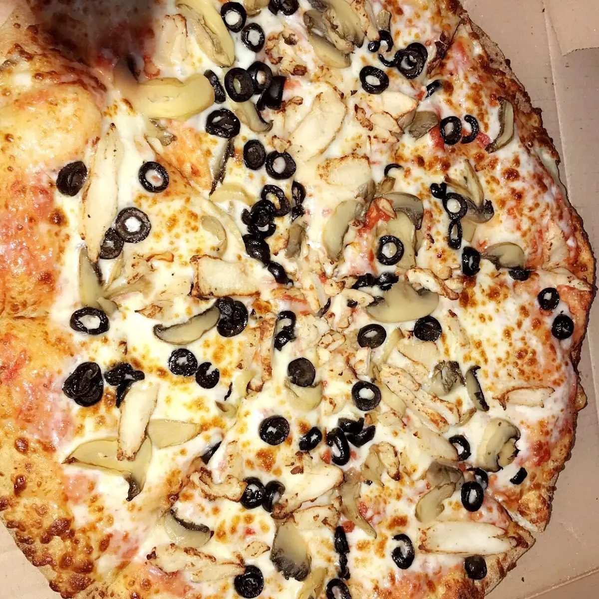 Great White Pizza