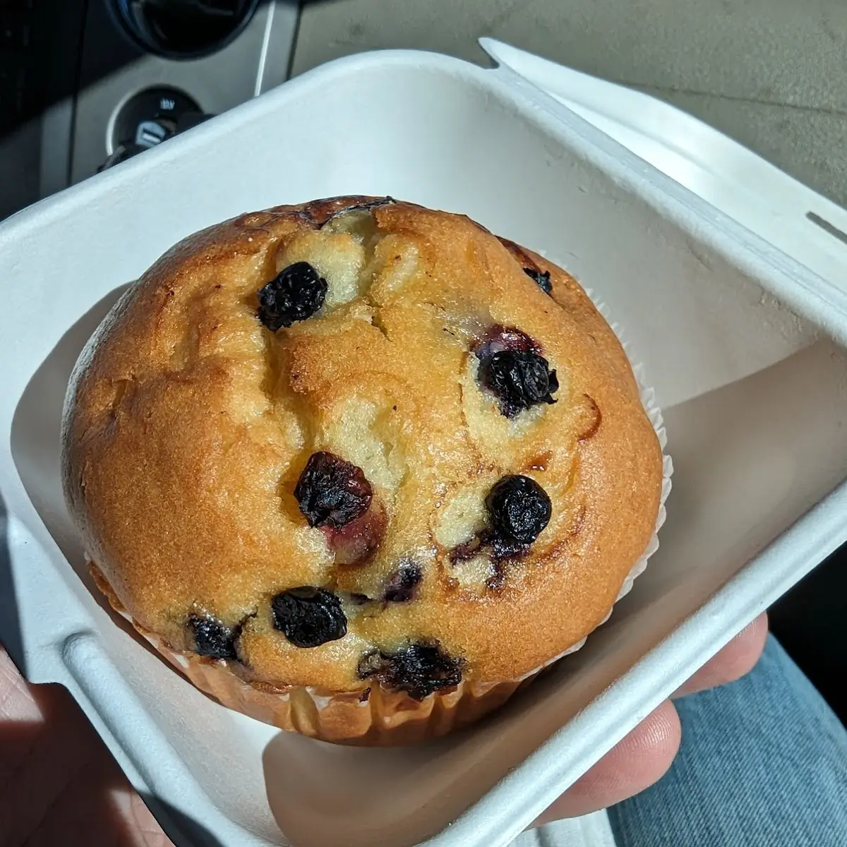 Blueberry Muffin