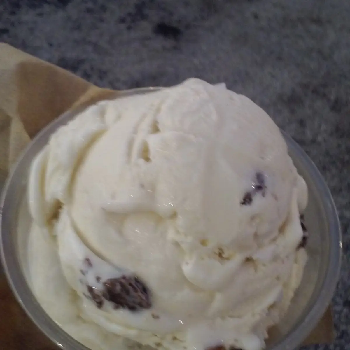 Rum Raisin Ice Cream