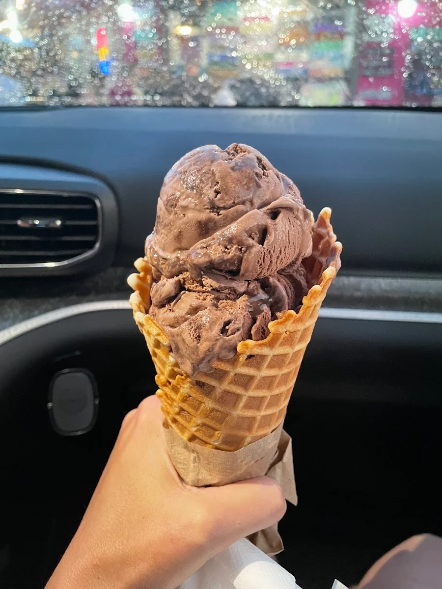 Double Fudge Brownie