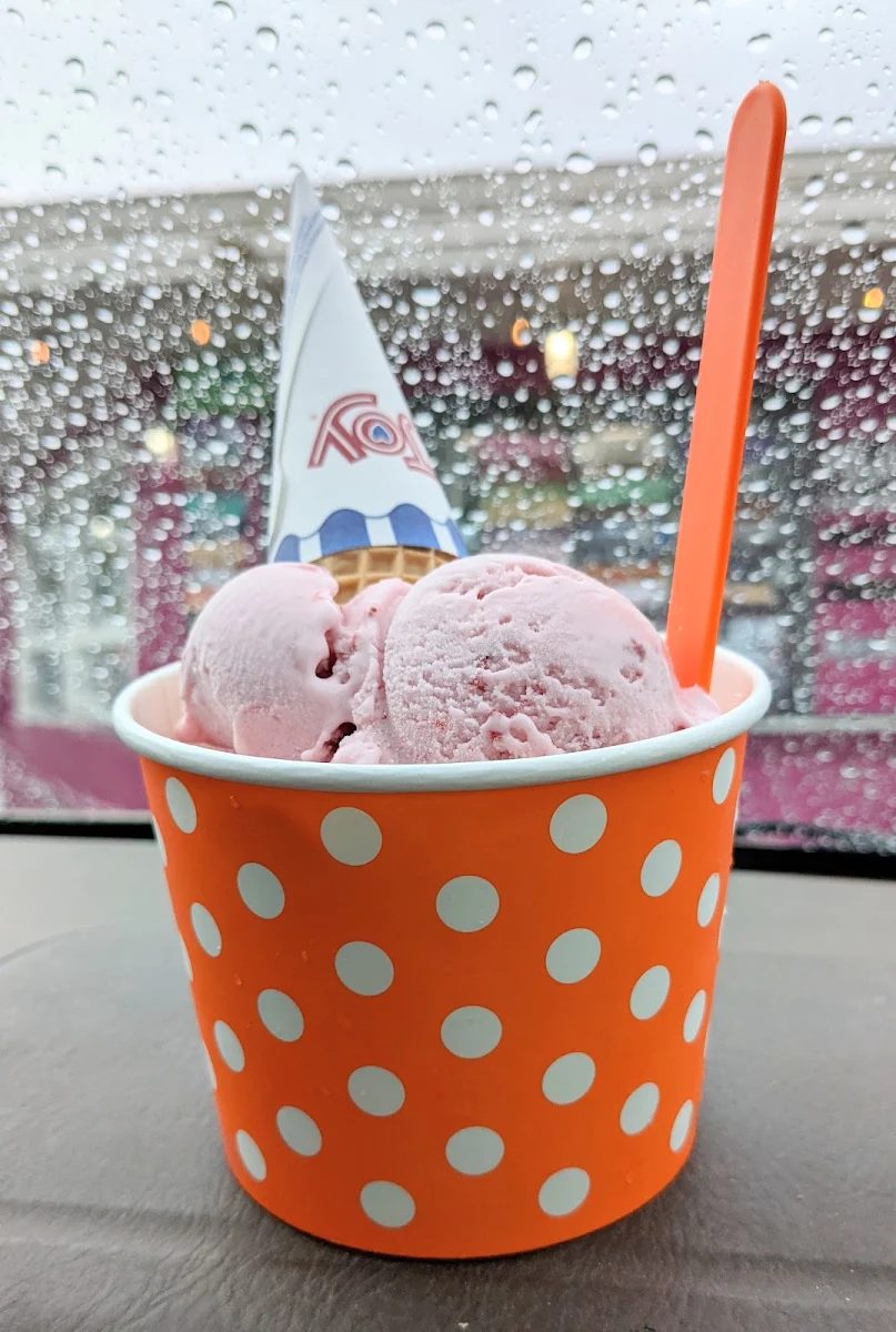 Vegan Strawberry Ice Cream