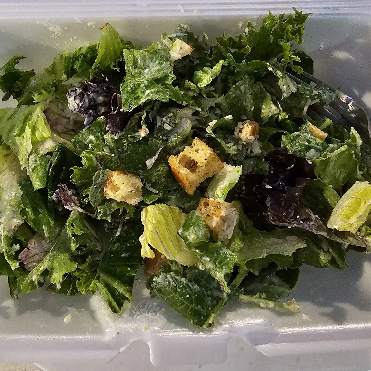 Caesar Salad