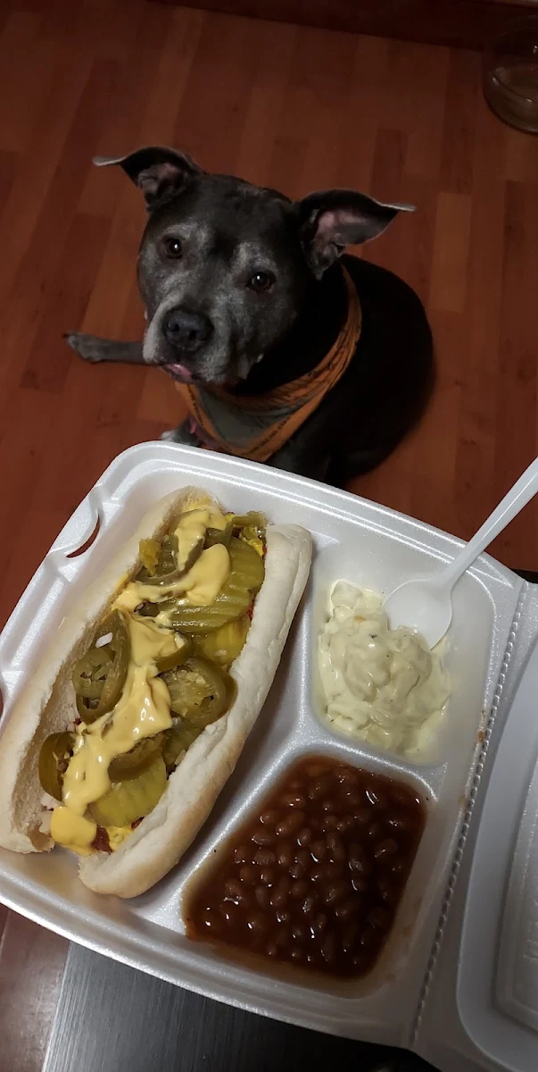 Hot Dog with Everything Basket