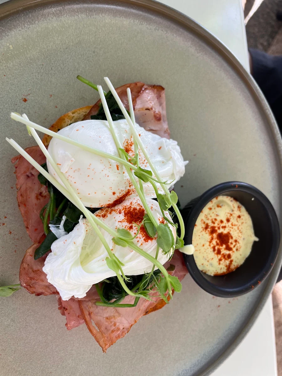 Eggs Benedict GFO VG, The Partisan