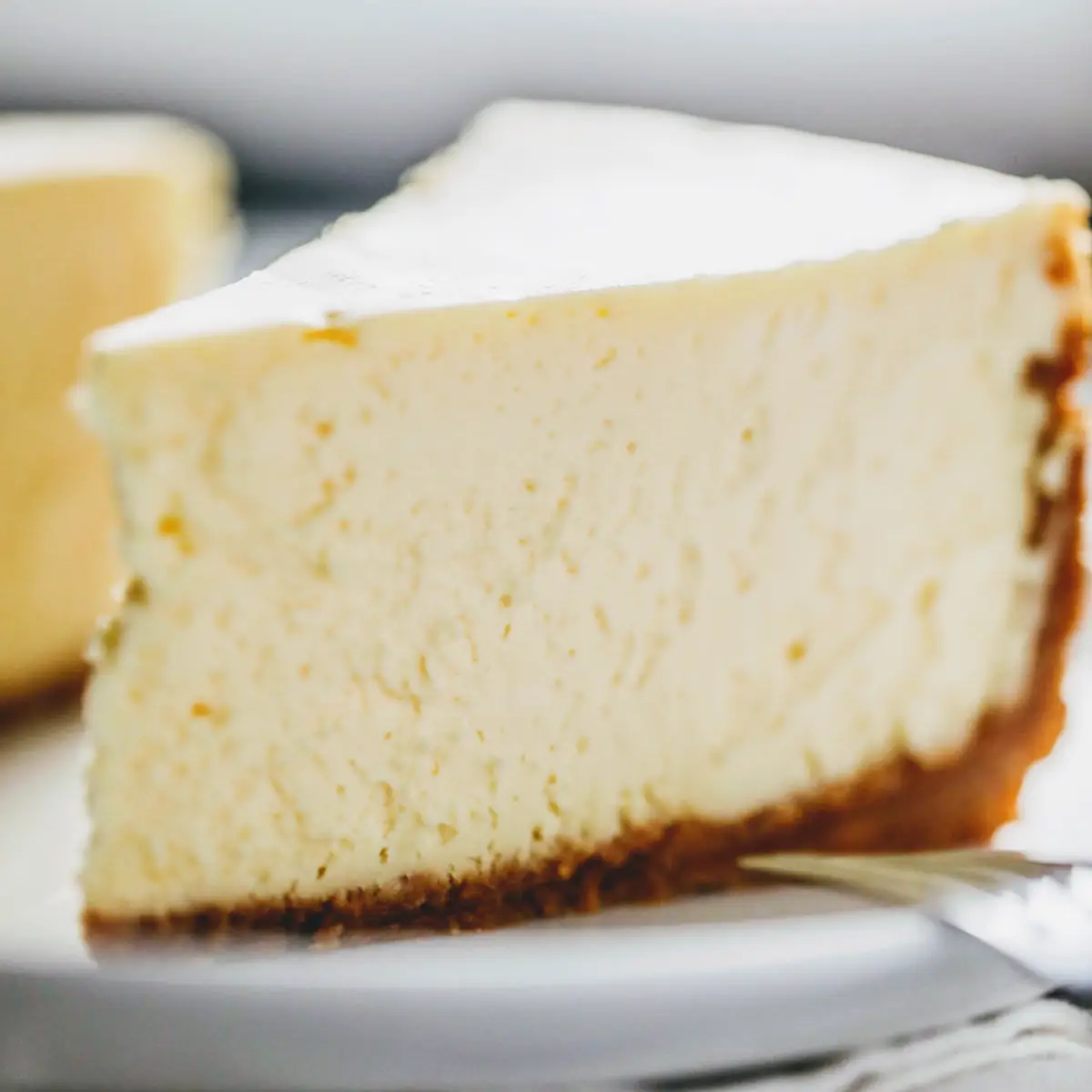 Cheesecake Slice