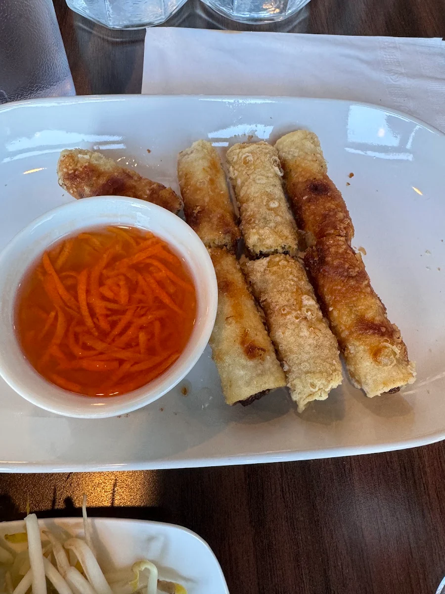 Spring Roll Appetizer
