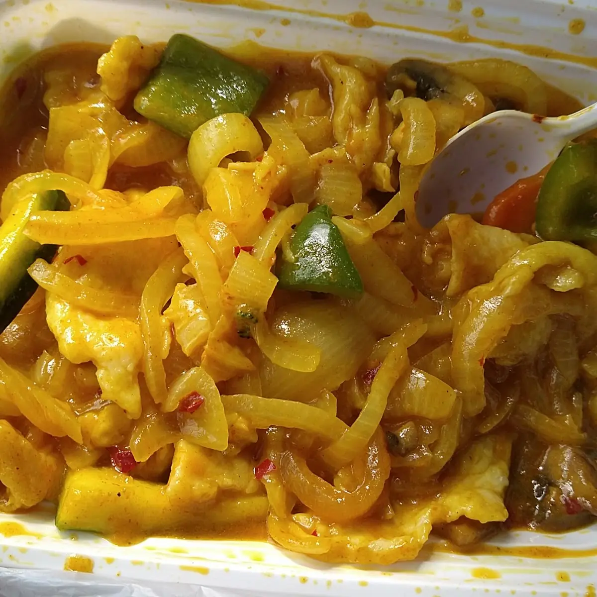 Curry Chicken with Onions