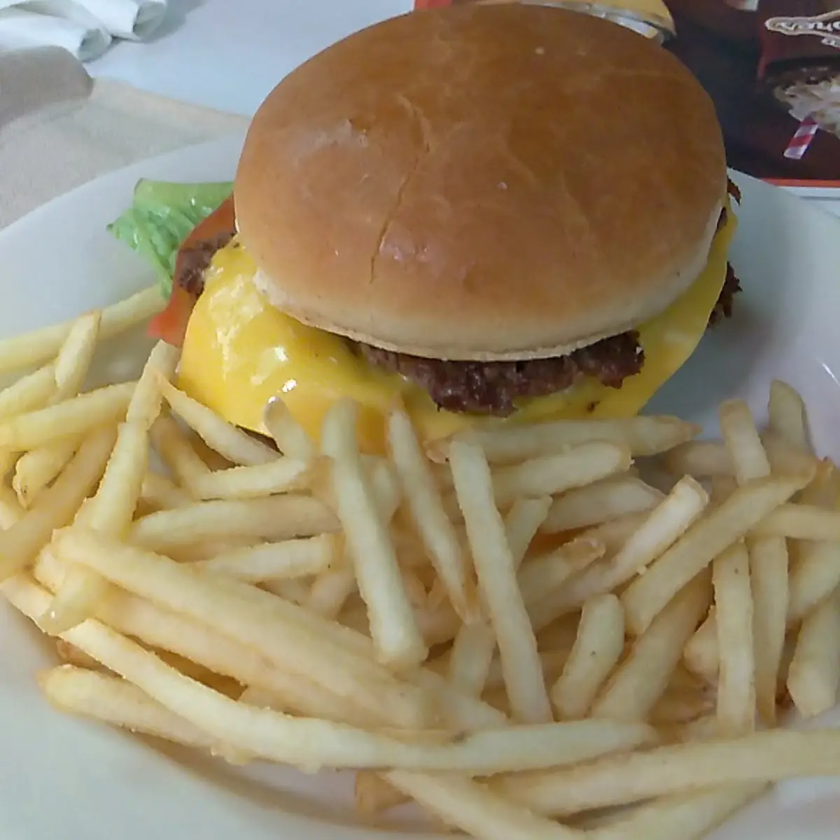 Steak Burger and Fries