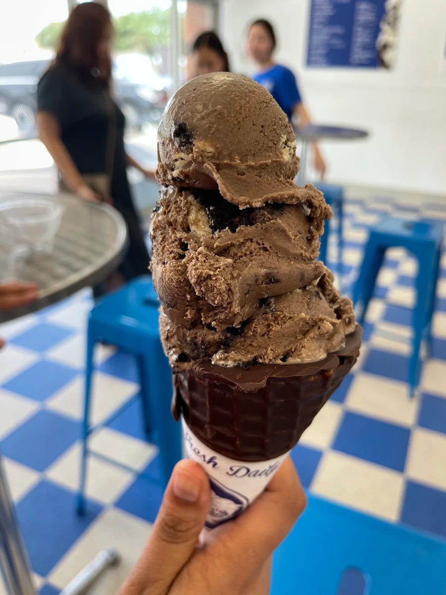 Peanut Butter Chocolate Ice Cream
