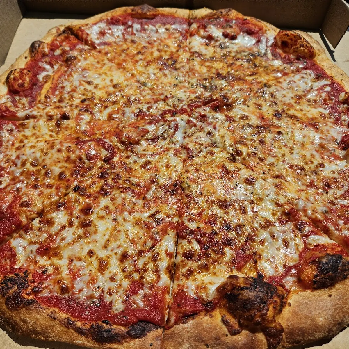 Large Plain Cheese Pizza Pie