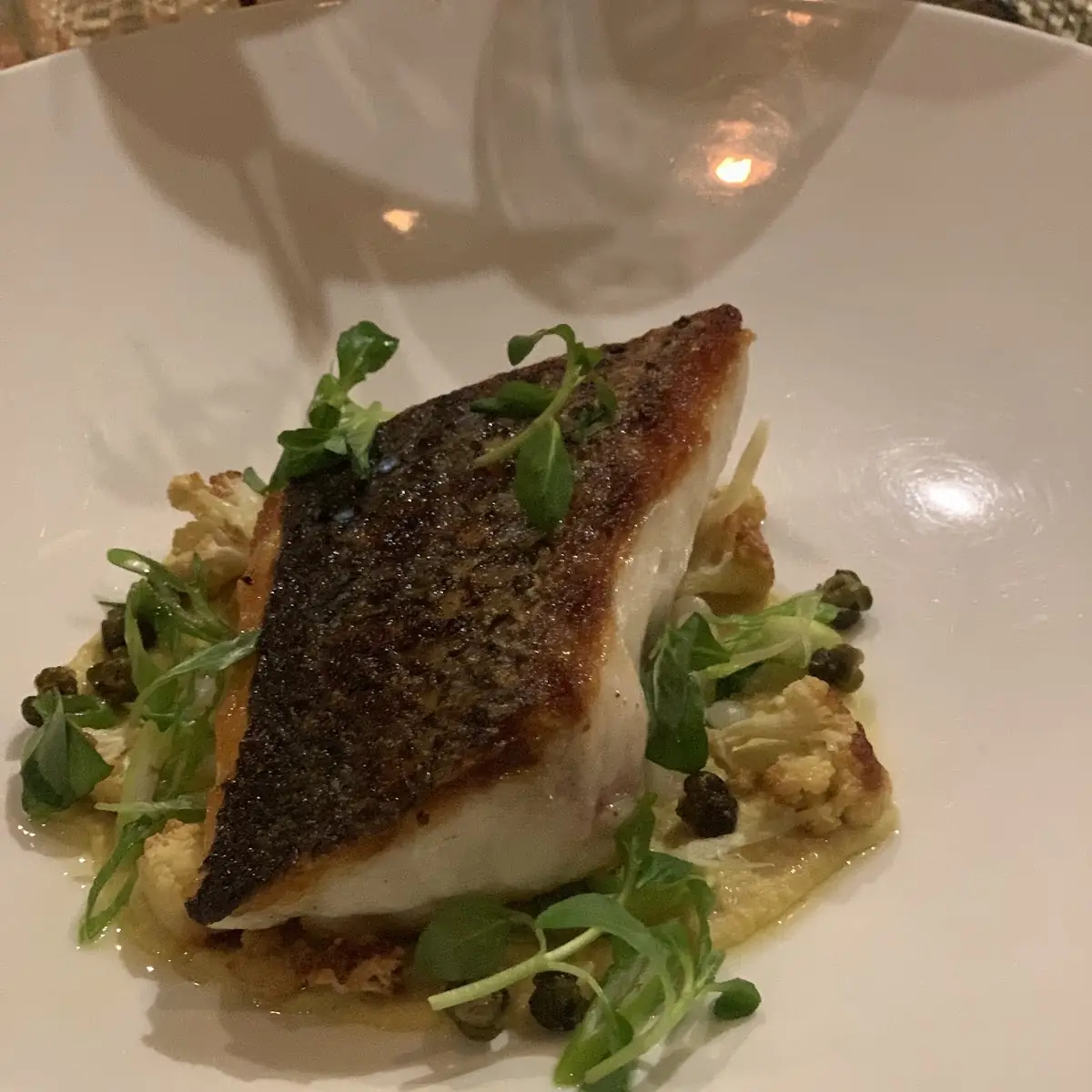 Sea Bass