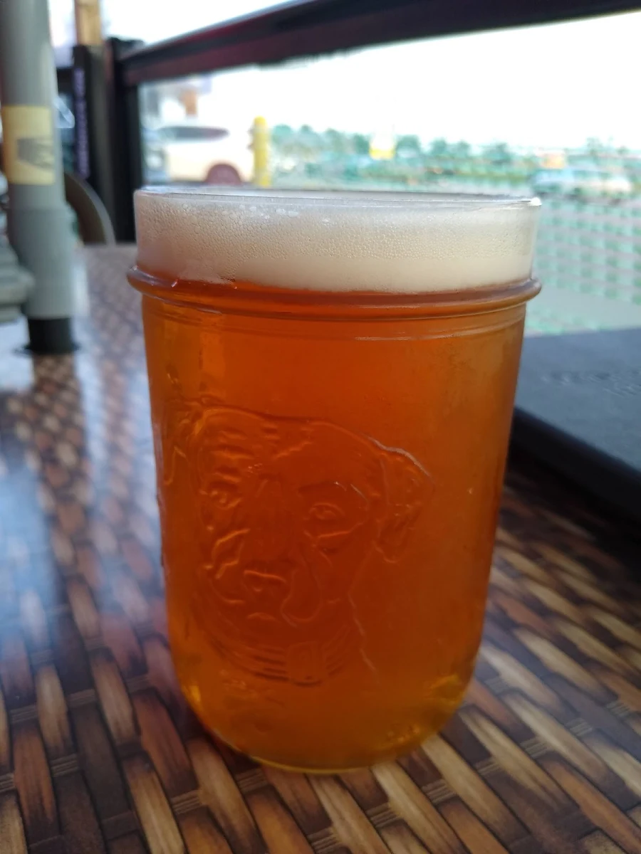 Lagunitas IPA