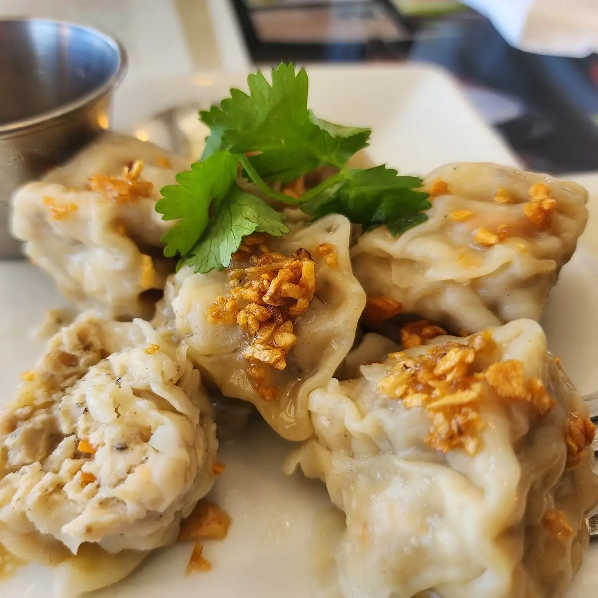 Chicken Dumplings