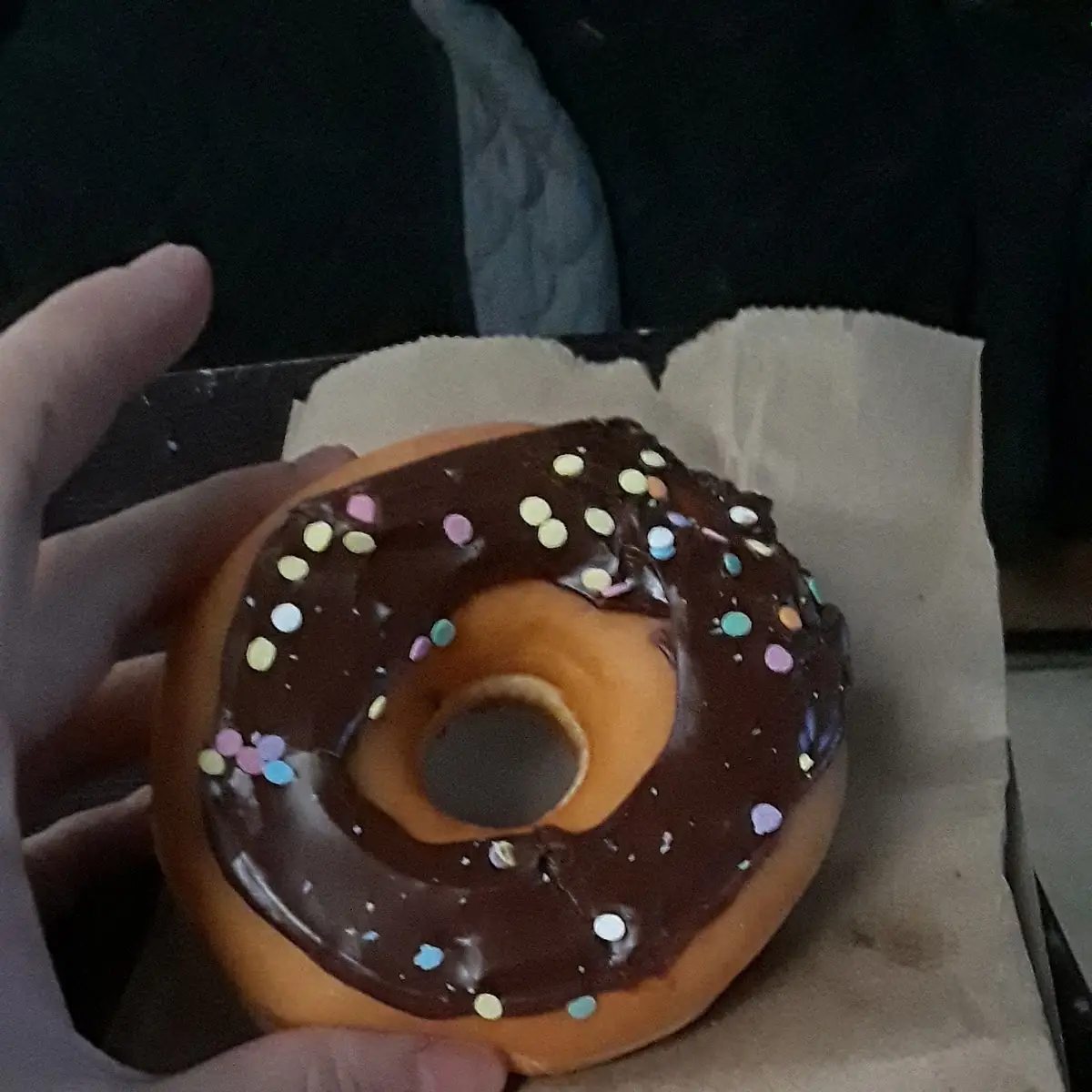 Chocolate Frosted Donut with Sprinkles