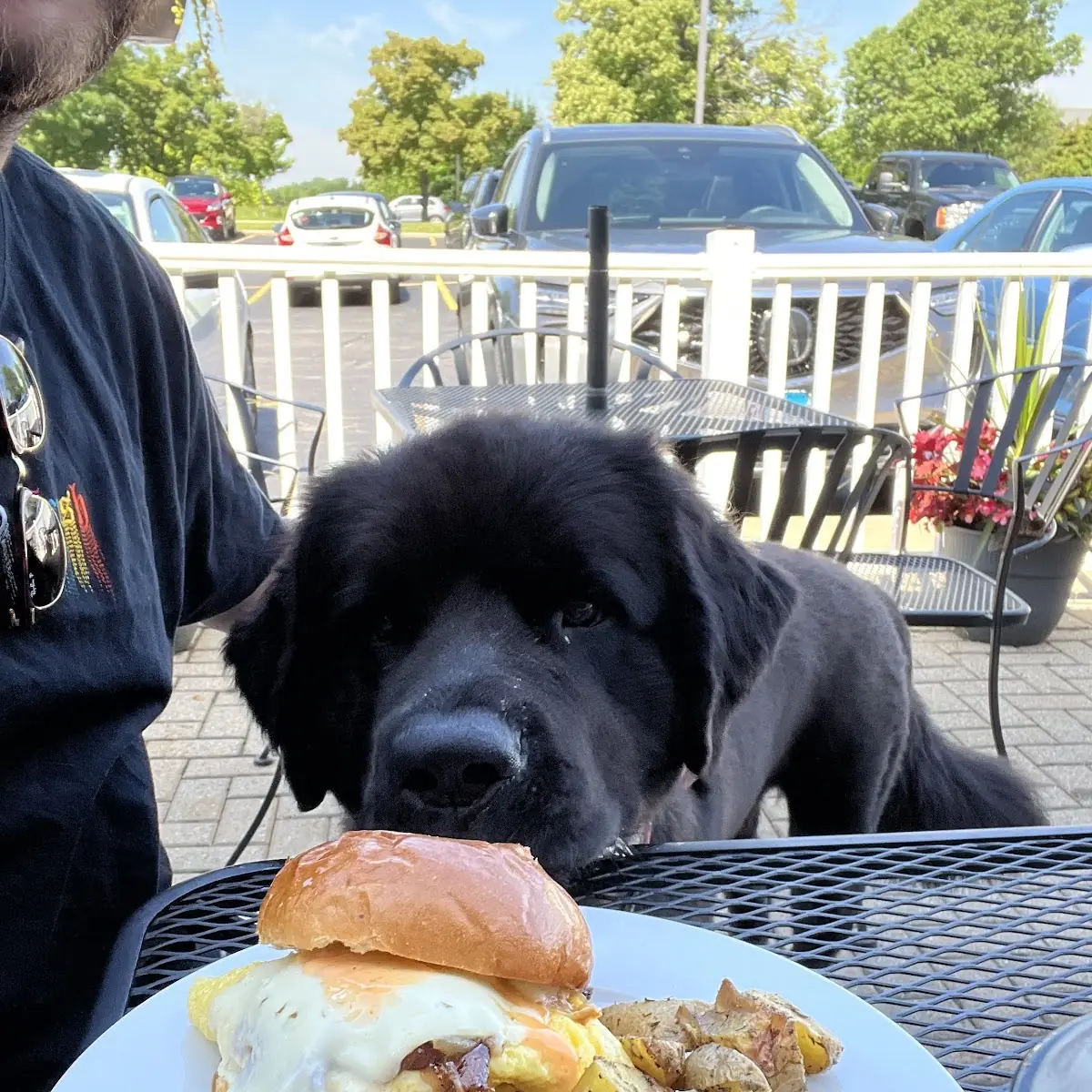 Breakfast Sandwich