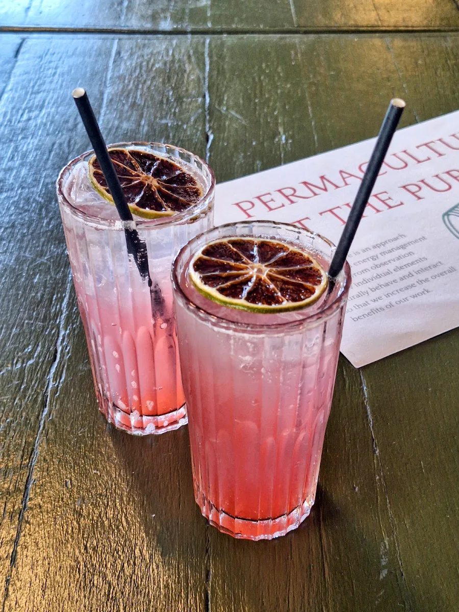 Davidson Plum Soda, The Family Hotel