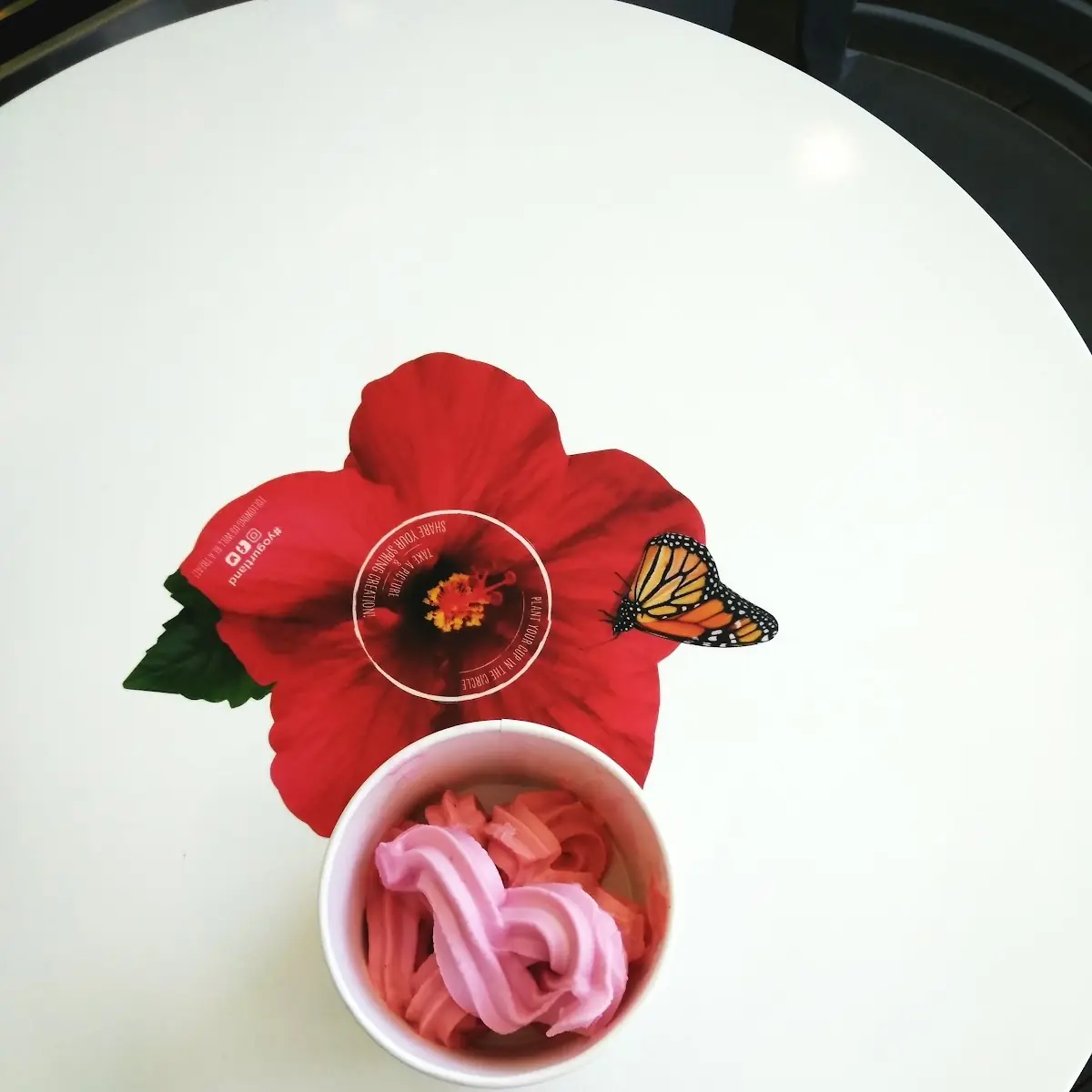 Frozen Yogurt Drink