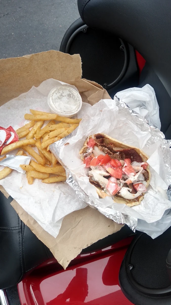 Gyro Sandwich with Fries